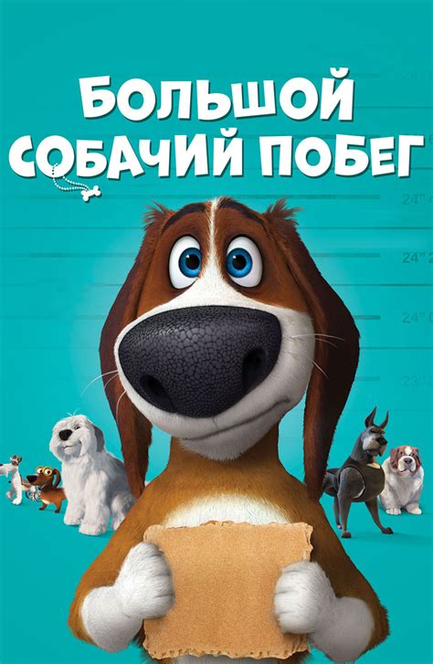 Большой собачий побег
 2024.04.26 03:58 мультфильмы, фильмы, сериалы, смотреть онлайн
